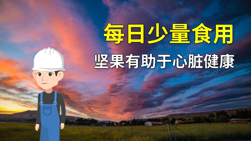 每日少量食用坚果有助于心脏健康 动画制作软件有哪些