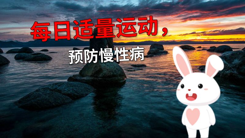 每日适量运动，预防慢性病 动画制作软件有哪些