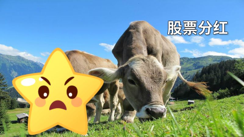 股票分红 动画制作软件有哪些