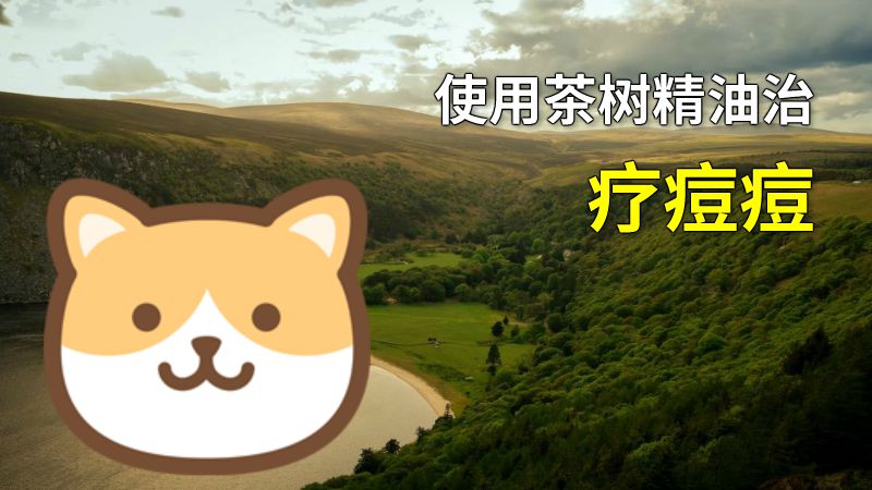 使用茶树精油治疗痘痘 动画制作软件有哪些