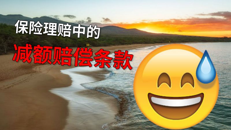 保险理赔中的减额赔偿条款 动画制作软件有哪些