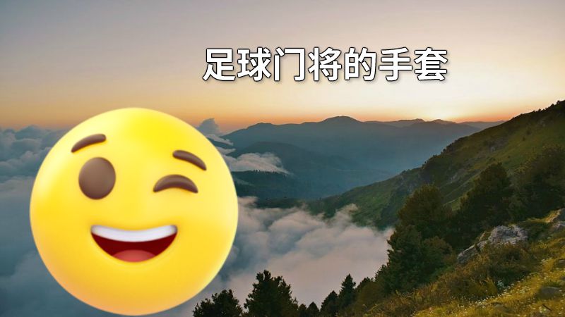 足球门将的手套 动画制作软件有哪些