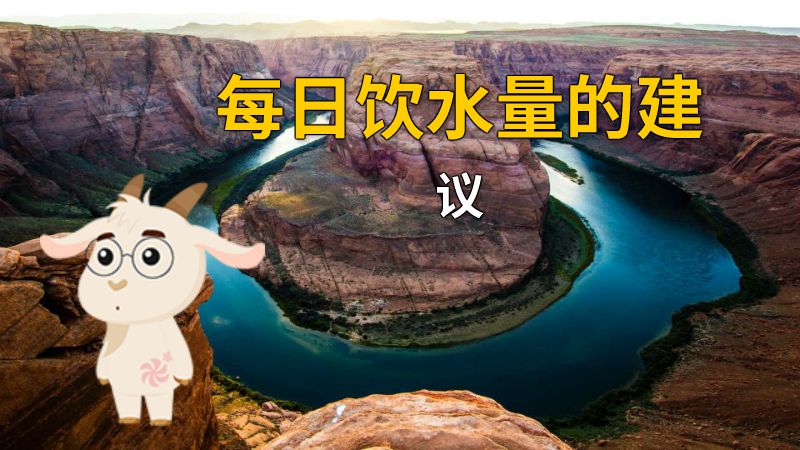 每日饮水量的建议 动画制作软件有哪些