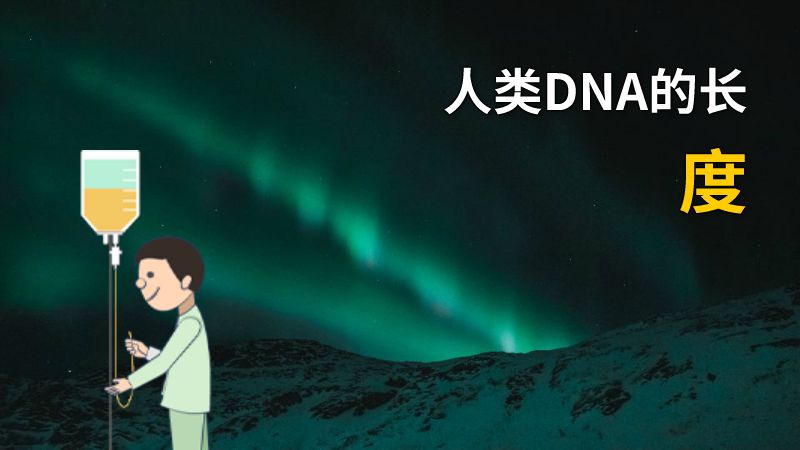 人类DNA的长度 动画制作软件有哪些