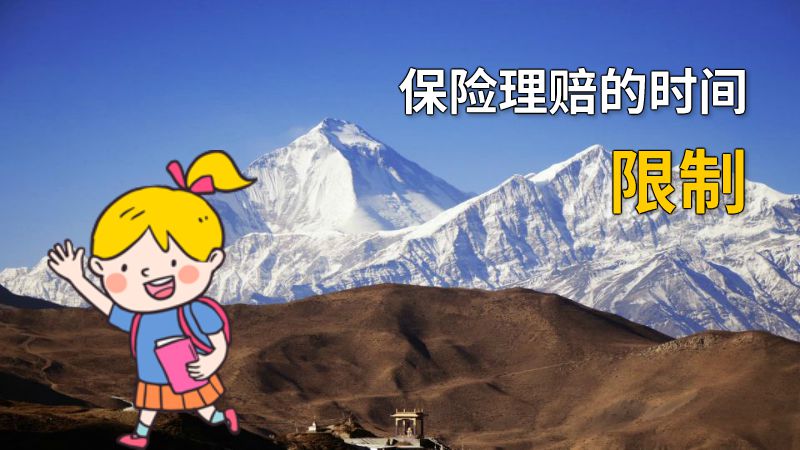 保险理赔的时间限制 动画制作软件有哪些