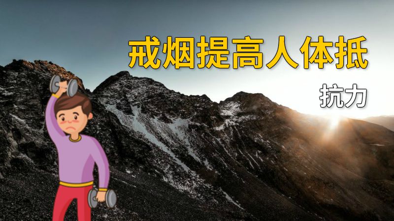 戒烟提高人体抵抗力 动画制作软件有哪些
