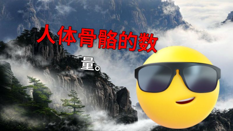 人体骨骼的数量。 动画制作软件有哪些