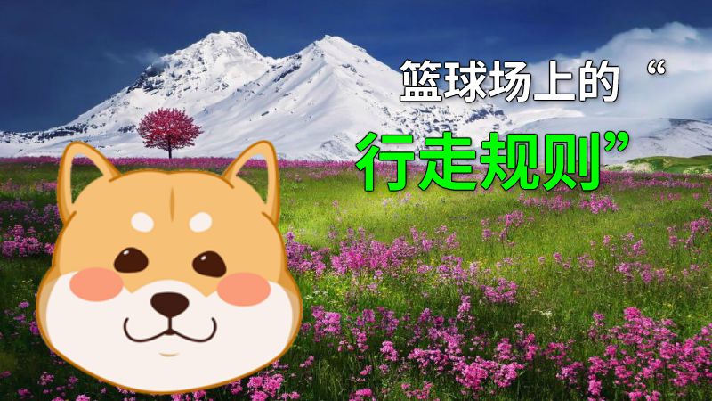篮球场上的“行走规则” 动画制作软件有哪些