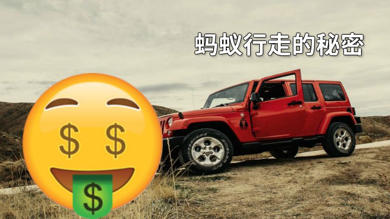 蚂蚁行走的秘密 动画制作软件有哪些