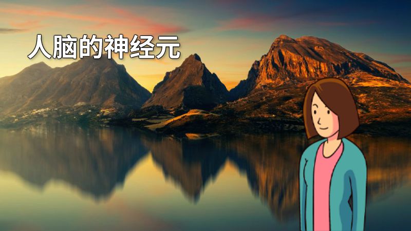 人脑的神经元 动画制作软件有哪些