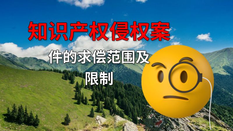 知识产权侵权案件的求偿范围及限制 动画制作软件有哪些