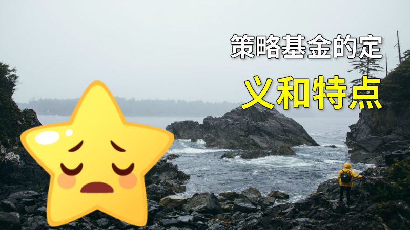 策略基金的定义和特点 动画制作软件有哪些