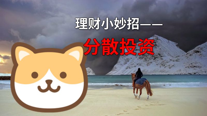 理财小妙招——分散投资 动画制作软件有哪些