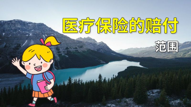 医疗保险的赔付范围 动画制作软件有哪些