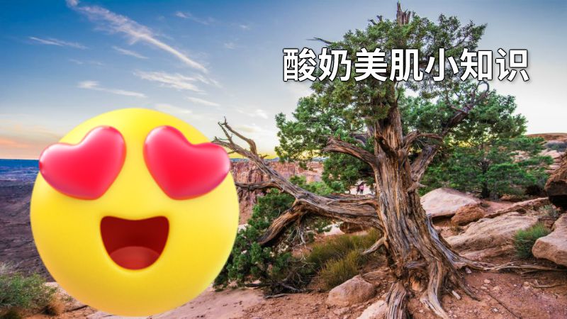 酸奶美肌小知识 动画制作软件有哪些