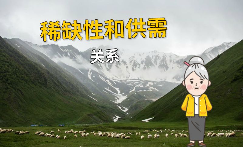 稀缺性和供需关系 动画制作软件有哪些