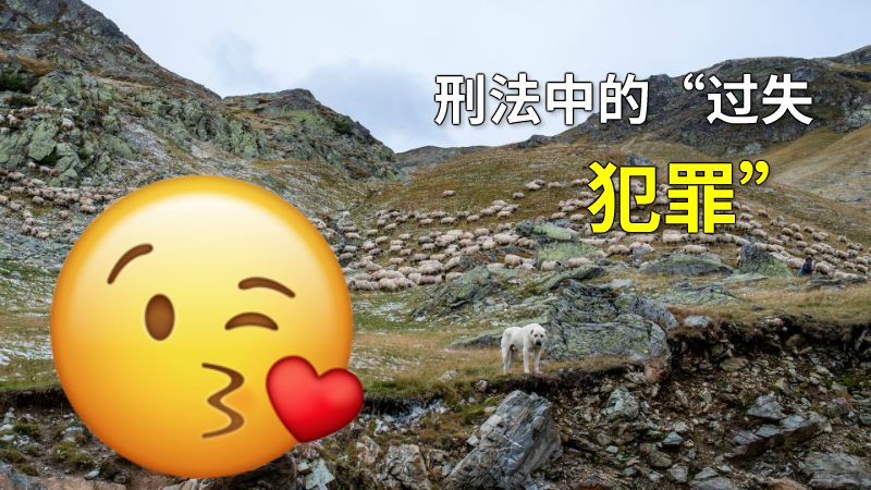 刑法中的“过失犯罪” 动画制作软件有哪些