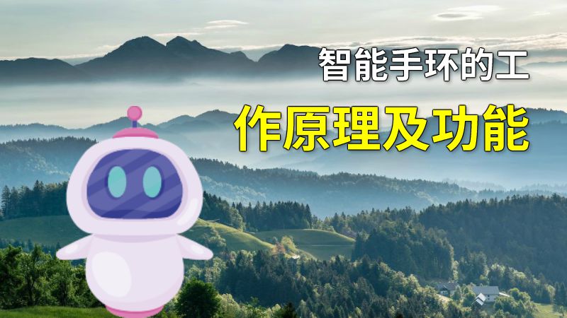 智能手环的工作原理及功能 动画制作软件有哪些