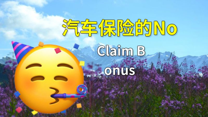 汽车保险的No Claim Bonus 动画制作软件有哪些