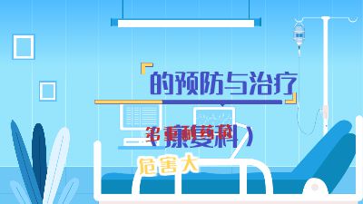 111.am 动画制作软件有哪些