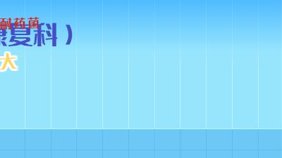 111.am 动画制作软件有哪些