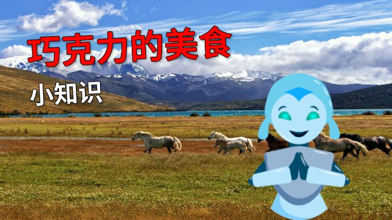 巧克力的美食小知识 动画制作软件有哪些
