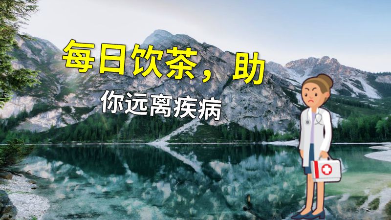 每日饮茶，助你远离疾病 动画制作软件有哪些