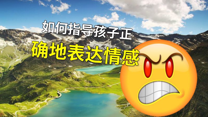 如何指导孩子正确地表达情感 动画制作软件有哪些