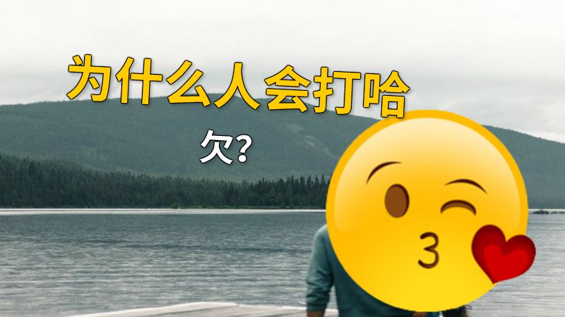 为什么人会打哈欠？ 动画制作软件有哪些