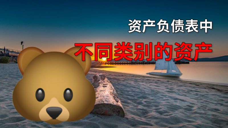 资产负债表中不同类别的资产 动画制作软件有哪些