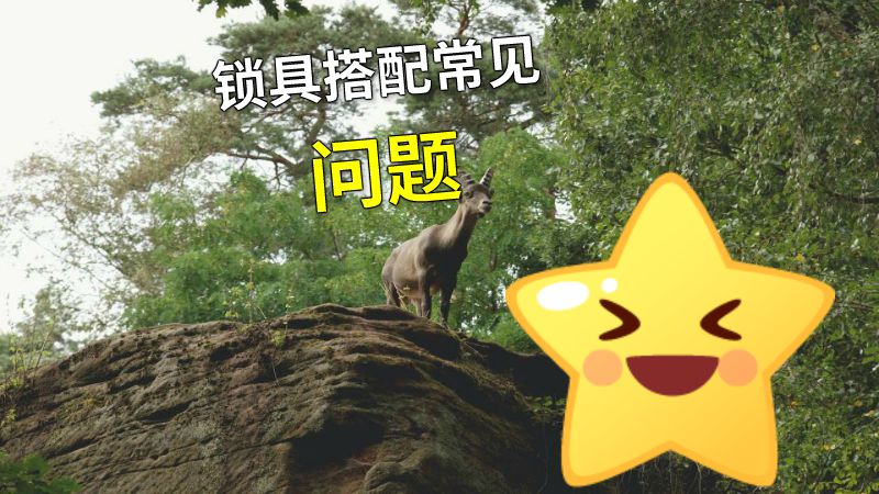 锁具搭配常见问题 动画制作软件有哪些