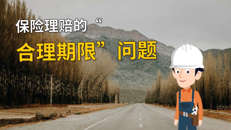 保险理赔的“合理期限”问题 动画制作软件有哪些