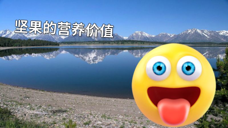 坚果的营养价值 动画制作软件有哪些