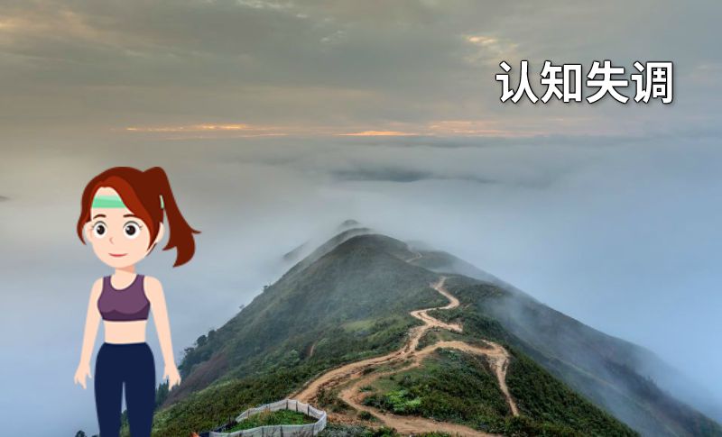 认知失调 动画制作软件有哪些
