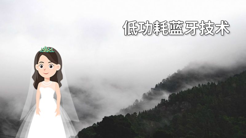 低功耗蓝牙技术 动画制作软件有哪些