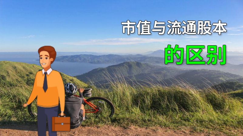 市值与流通股本的区别 动画制作软件有哪些