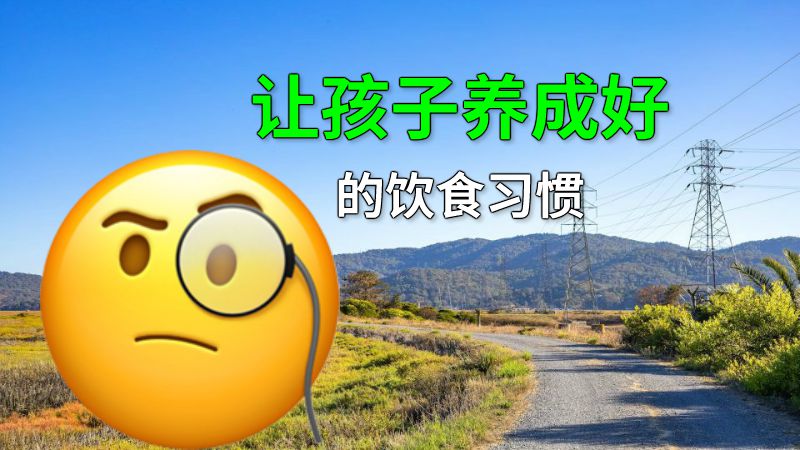 让孩子养成好的饮食习惯 动画制作软件有哪些