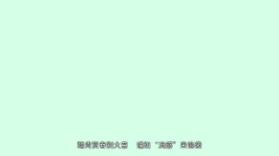 流感动画.am 动画制作软件有哪些