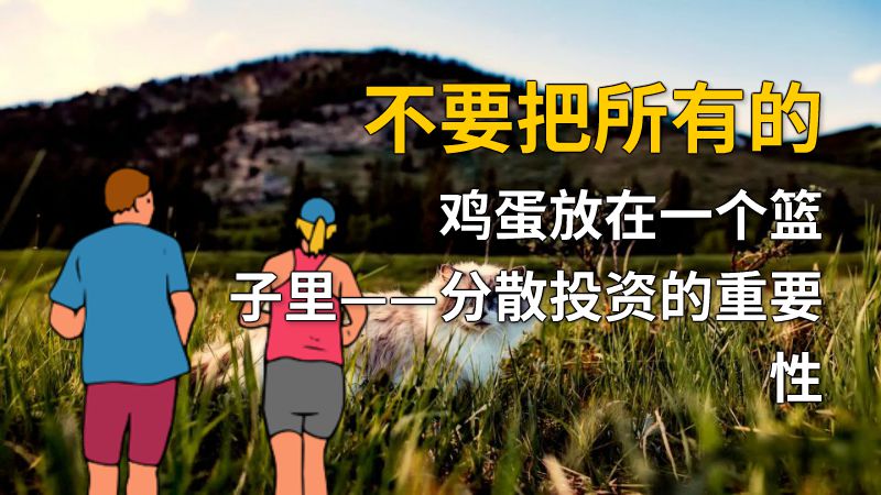 不要把所有的鸡蛋放在一个篮子里——分散投资的重要性 动画制作软件有哪些