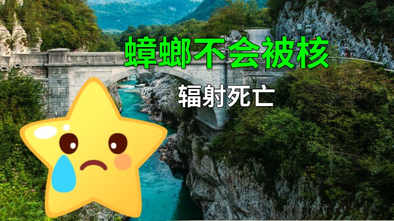 蟑螂不会被核辐射死亡 动画制作软件有哪些