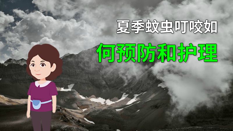 夏季蚊虫叮咬如何预防和护理 动画制作软件有哪些
