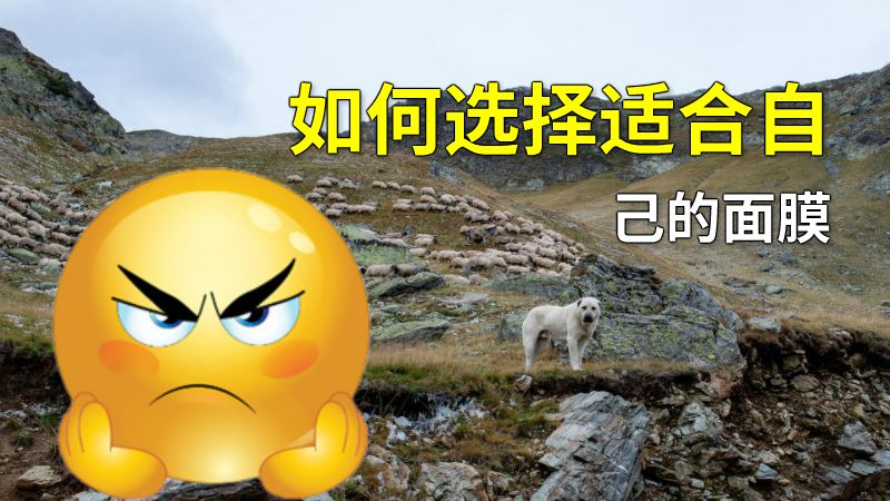 如何选择适合自己的面膜 动画制作软件有哪些