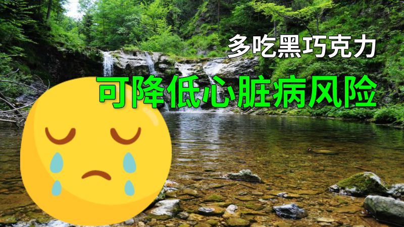 多吃黑巧克力可降低心脏病风险 动画制作软件有哪些