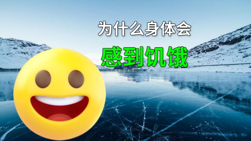 为什么身体会感到饥饿 动画制作软件有哪些