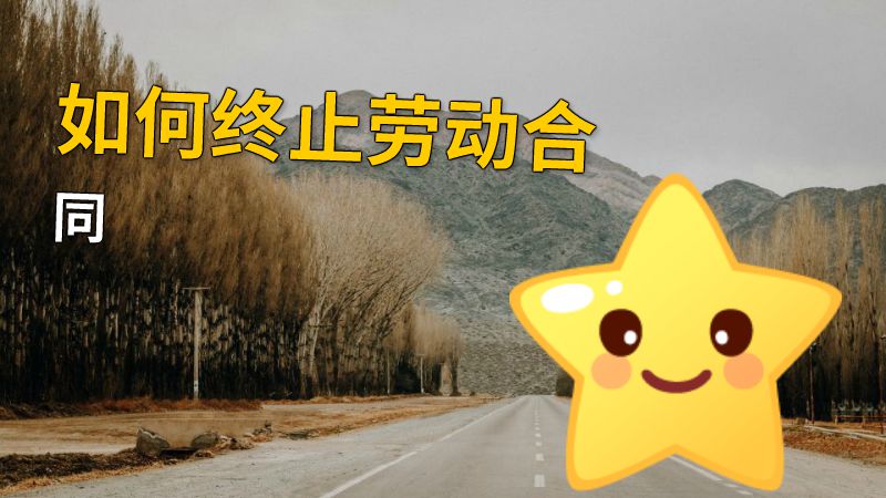 如何终止劳动合同 动画制作软件有哪些