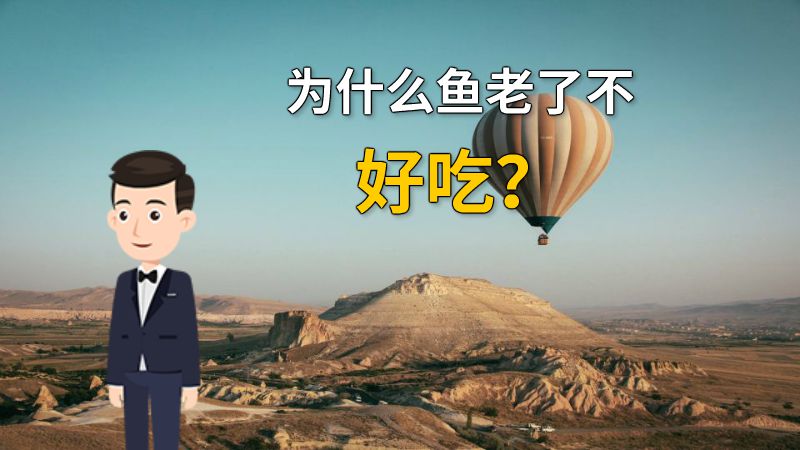 为什么鱼老了不好吃？ 动画制作软件有哪些