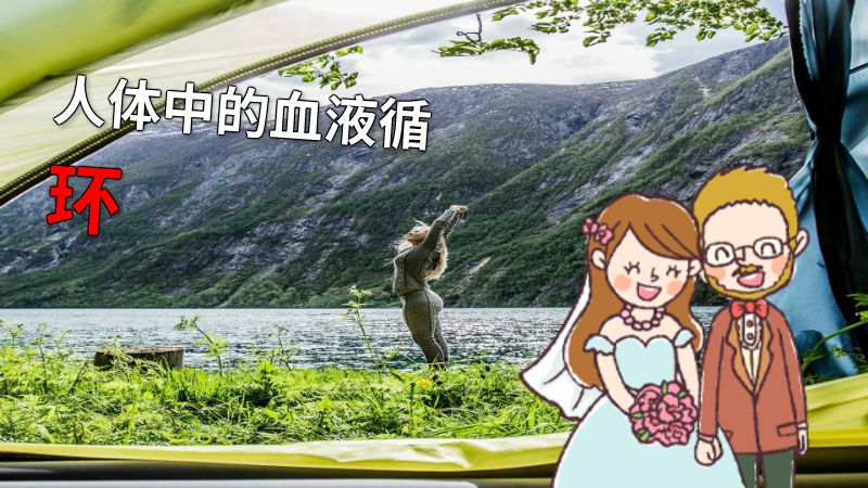 人体中的血液循环 动画制作软件有哪些