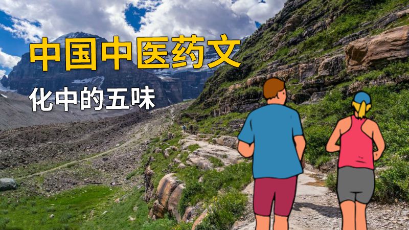 中国中医药文化中的五味 动画制作软件有哪些