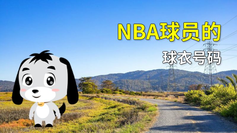 NBA球员的球衣号码 动画制作软件有哪些