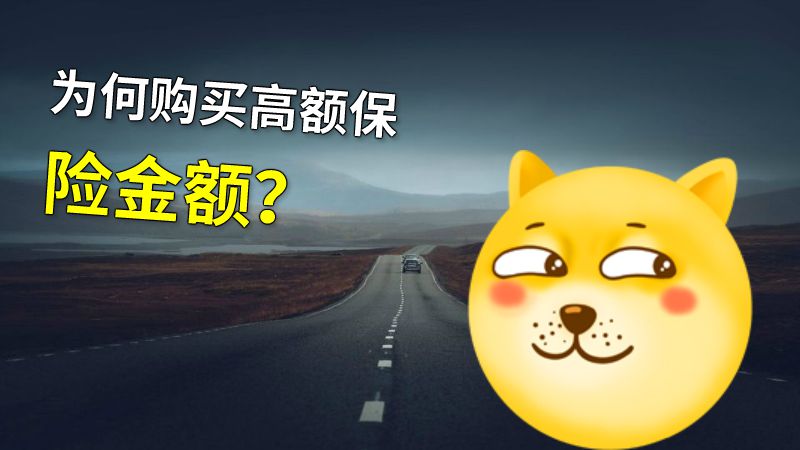 为何购买高额保险金额？ 动画制作软件有哪些